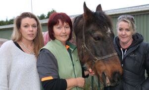 Hannah Bentley, left, with Carlene Field, Banjo the pony, and Carolyn Hovell. PHOTO/HAYLEY GASTMEIER