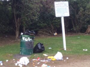 Bags of garden waste were found at the W.A Miller Scenic Reserve yesterday morning. PHOTO/SUPPLIED
