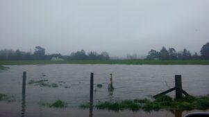 Paddocks in rural Wairarapa were swamped by the heavy overnight downfall. PHOTO/SUPPLIED