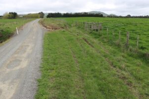 Looking north along Shooting Butts Rd at grass tyre marks left by the Toyota before it crashed into the culvert ahead.  PHOTO/HAYLEY GASTMEIER