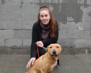 Kylie Tobin, Masterton District Council, with one of four puppies looking for a new home. PHOTO/BECKIE WILSON