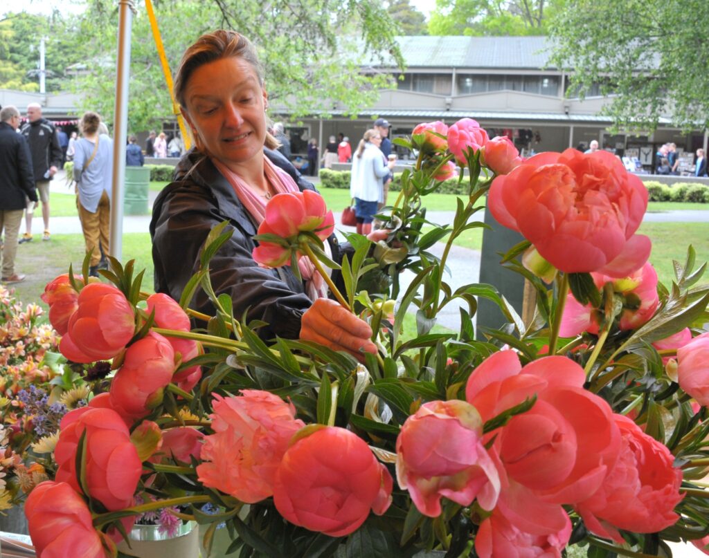 Mel Williams (Masterton) picks a bunch of peonies. PHOTO/CHRIS KILFORD