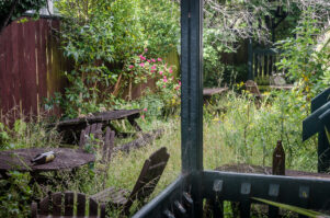 The courtyard of where Cindyz Pizza once was, on Featherston’s main street. PHOTO/PETER BLACK