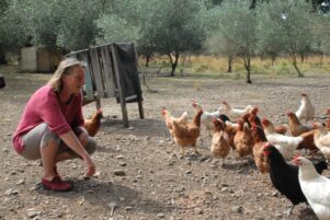 Josje Neerincx hopes the Community Owned Chicken (COC) project will continue to grow. PHOTO/BECKIE WILSON