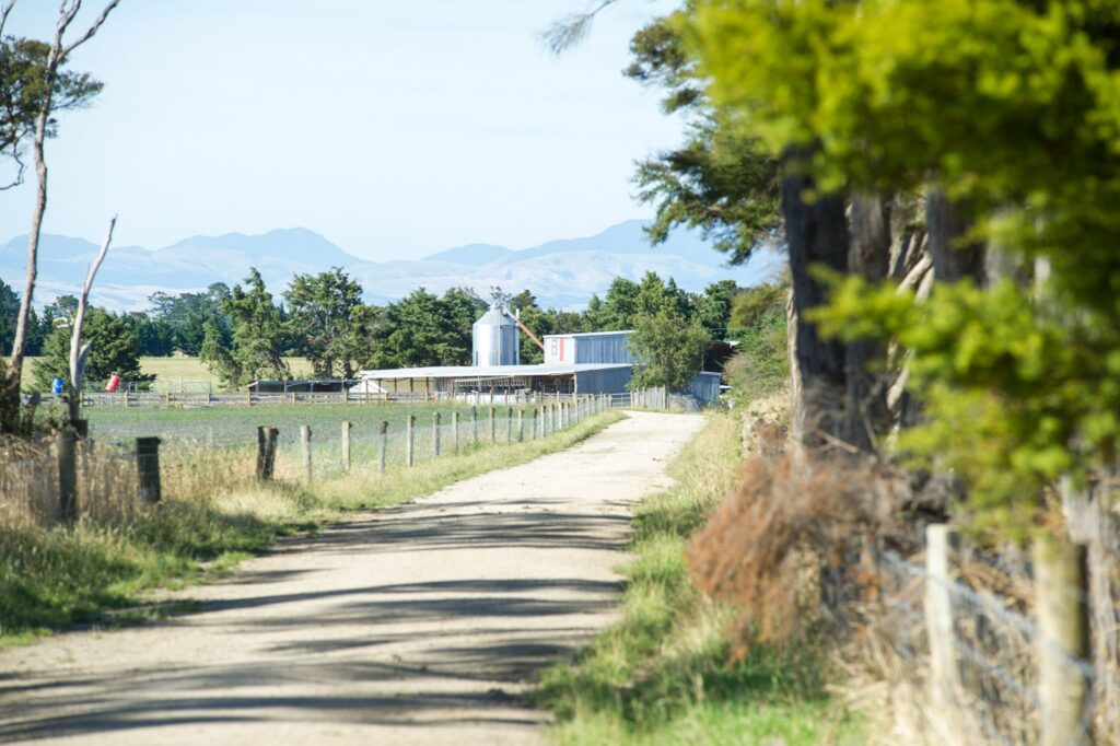 The milking shed on the Carrington farm. PHOTOS/GRAEME BOWDEN