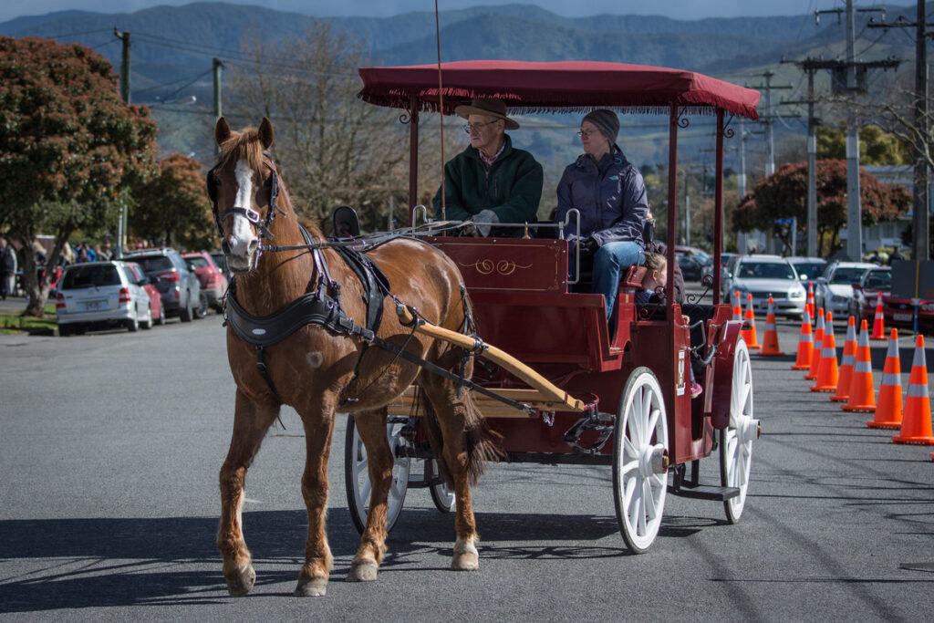 Daffodil Festival in Carterton. PHOTO/JADE CVETKOV