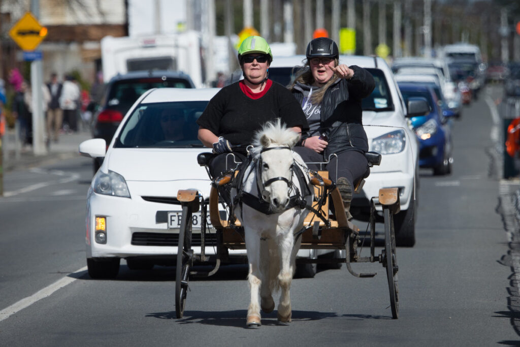 Daffodil Festival in Carterton. PHOTO/JADE CVETKOV