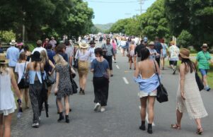 The wine mile will be packed with visitors waiting to test Martinborough's best. PHOTO/EMILY NORMAN