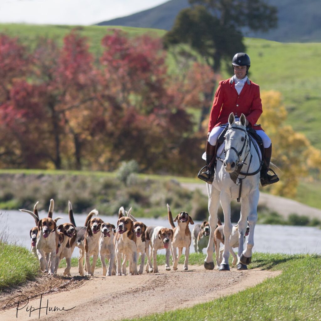 Grand National winning jumps jockey Cody Singer took his own life last year. PHOTO/PIP HUME