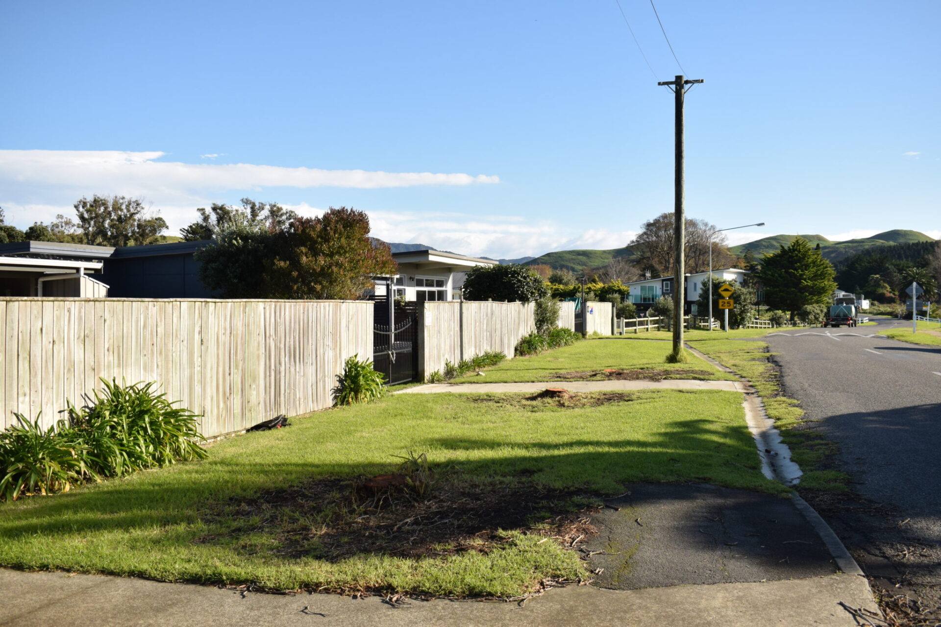 Whodunnit? Police called in as poisoned trees cut down Wairarapa