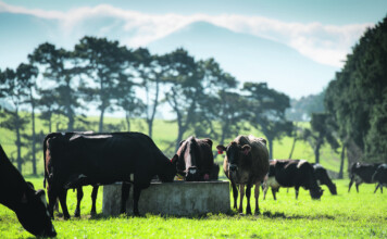 Mixed response to ETS movement Mike Butterick said changes made to the agriculture sector were “great news”. PHOTO/FILE